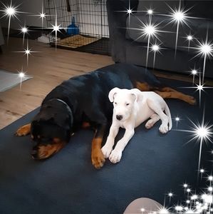 Meet your Posher, Tonia